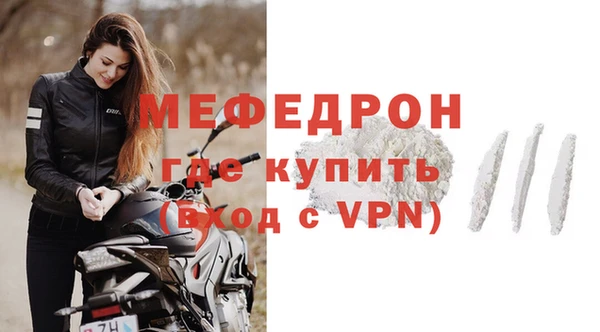 прущие грибы Новозыбков