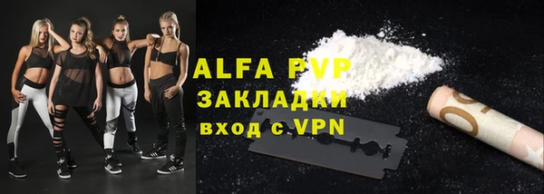 прущие грибы Новозыбков