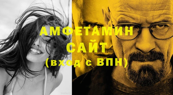 прущие грибы Новозыбков