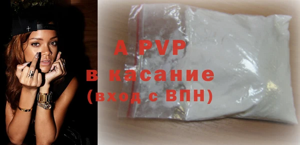 прущие грибы Новозыбков