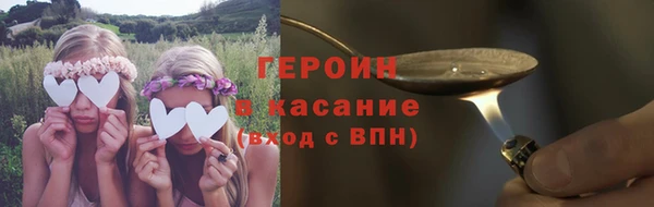 прущие грибы Новозыбков