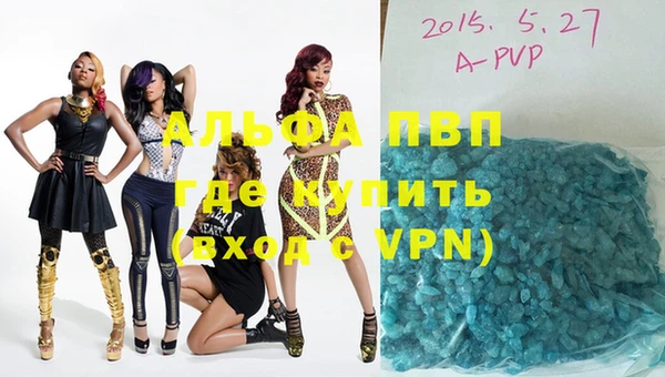 гидра Новокубанск