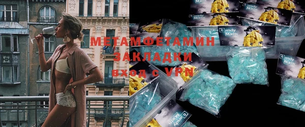 прущие грибы Новозыбков