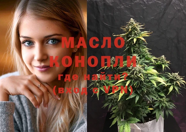 прущие грибы Новозыбков
