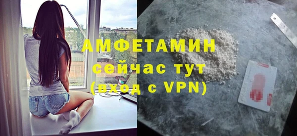 прущие грибы Новозыбков