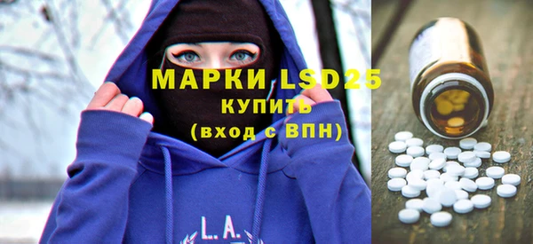 прущие грибы Новозыбков