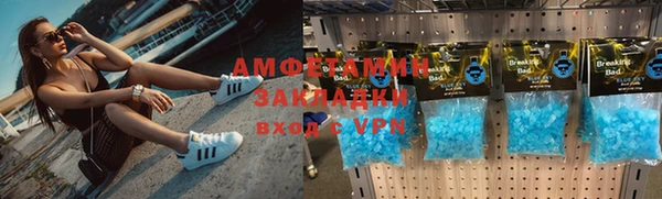 прущие грибы Новозыбков