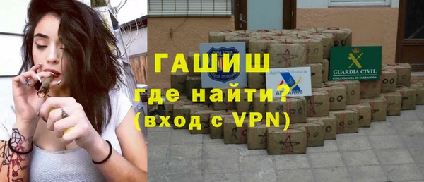 прущие грибы Новозыбков