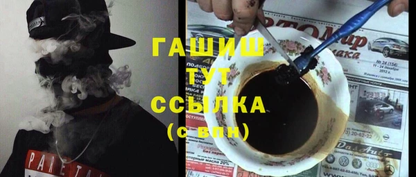 прущие грибы Новозыбков