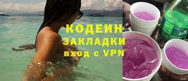 прущие грибы Новозыбков