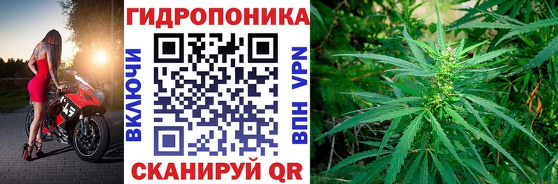 как найти закладки Райчихинск Шишки марихуана LSD WEED